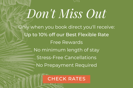 TripTease Abandonment Message