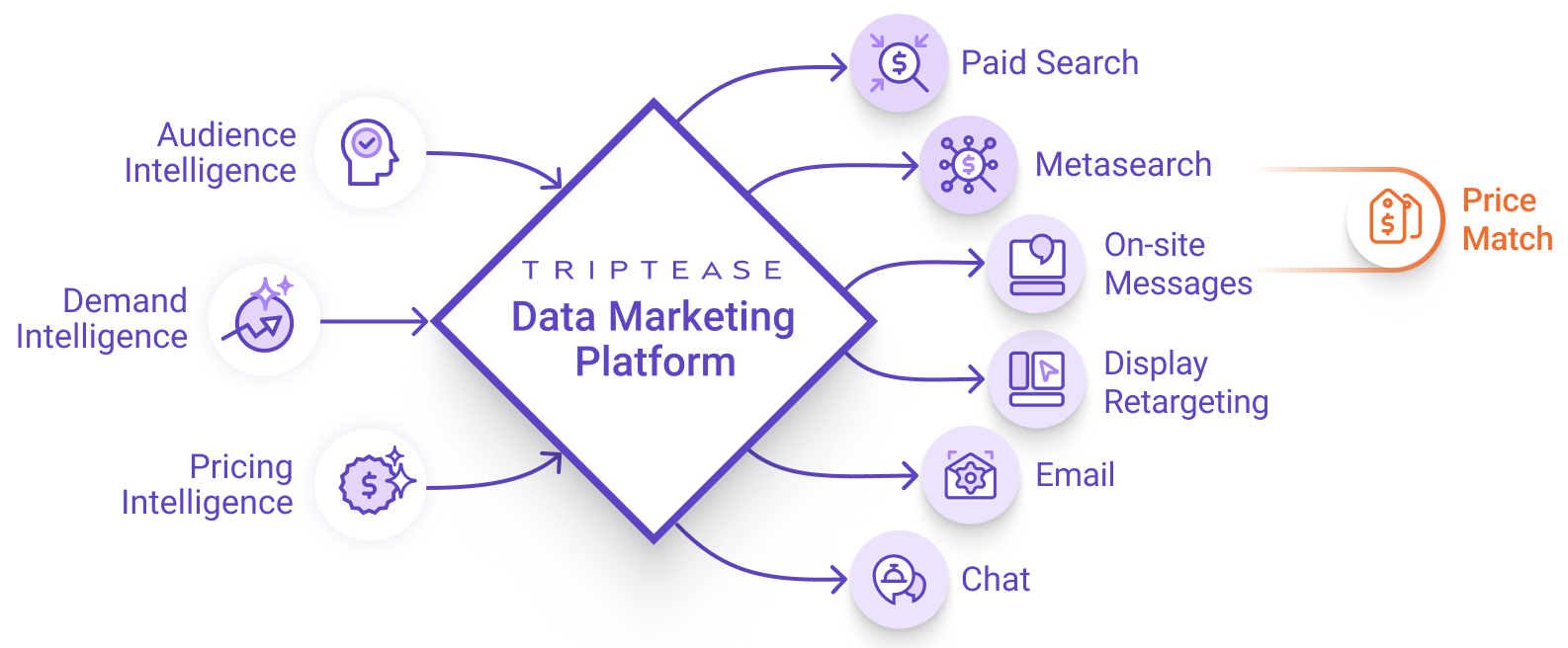 DMP diagram DMP diagram